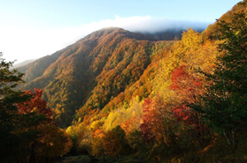 autunno toscana colori novembre