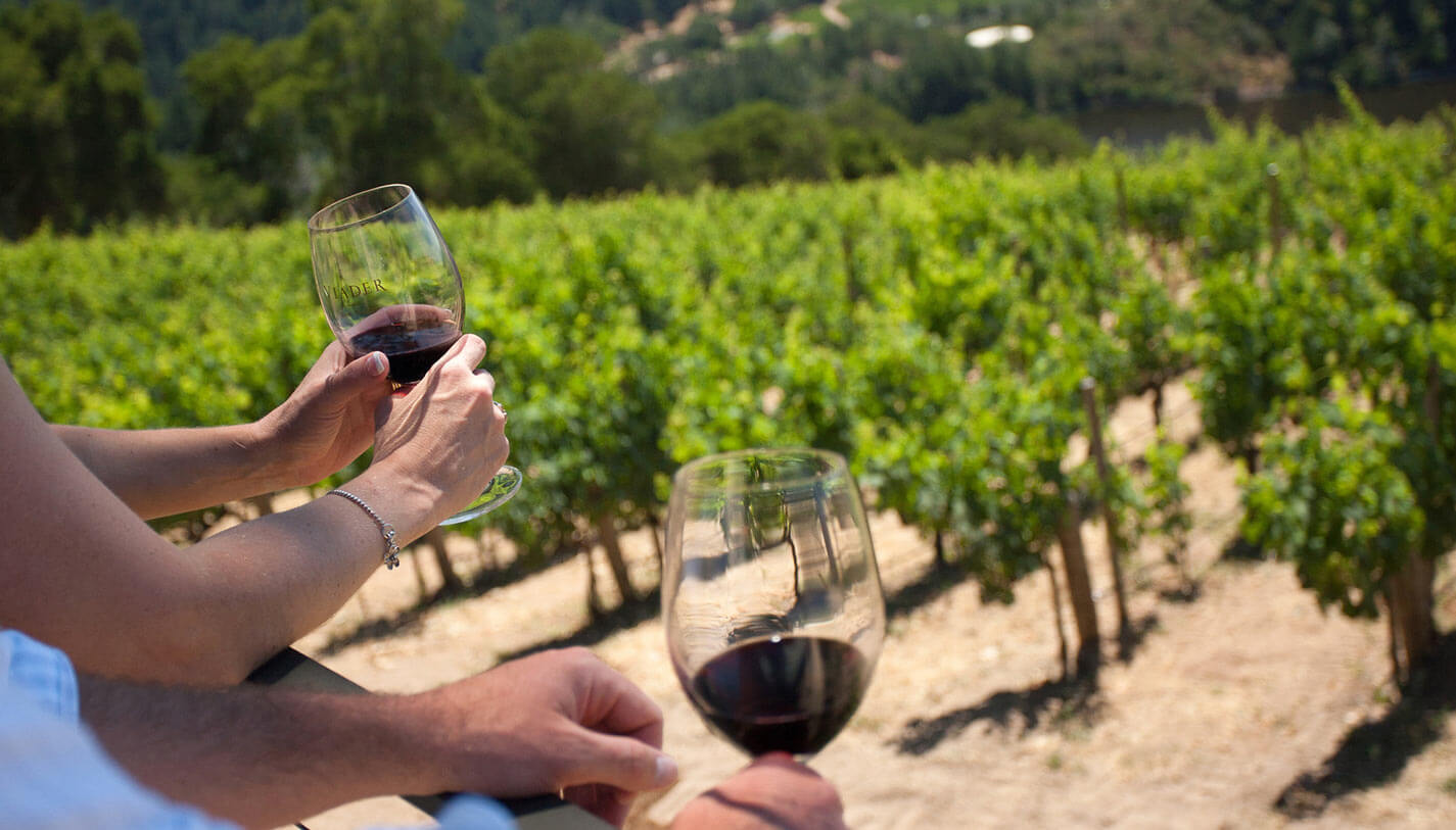 Agriturismo Pescaia - Bianco rosso ogni vino necessita del suo bicchiere.